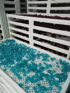 120 Cápsulas en Stock, Gomitas de Creatina para Músculos en Promoción, Creatina Monohidrato al por Mayor, Creatina a Granel, OEM, ODM - Product Image 5