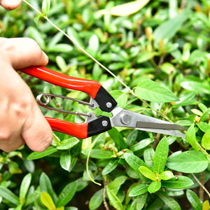 Sécateur de jardin en acier inoxydable, outil de taille 10-20 mm pour arbres fruitiers avec poignée en plastique rouge, design papillon manuel - Product Image 1