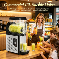 Machine à slush électrique professionnelle à cuve unique 12L en acier inoxydable haute performance pour les magasins de boissons froides, la restauration et la vente au détail