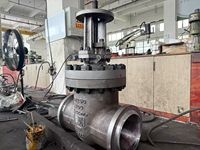 Vanne à opercule en acier inoxydable 2"/4"/6"/8"/10" DN50/DN100/DN150/DN200/DN250 316/316L/304/CF8/CF8M/Duplex/Hastelloy Classe 300