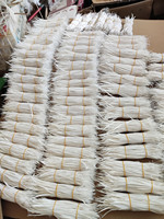 Plumes de Biot d'Oie Teintées Élégantes pour la Confection de Chapeaux, Artisanat de Couture DIY, Robes de Mariée, Costumes de Carnaval, Décoration de Fêtes et Accessoires