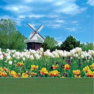 Rompecabezas de Papel de 1000 Piezas para Adultos, Diseño de Cielo Estrellado, Sueño, Pato Cisne, Animales, Superdifícil, Embalaje en Caja de Color, Modelo 6, Yiwu - Product Image 2