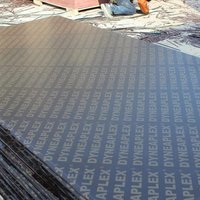 Contreplaqué de peuplier filmé noir de première qualité 4x8 pour coffrage mural de construction en gros