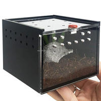 Boîte d'araignée acrylique Terrarium élevage étui pour Gecko lézard Scorpion licorne insecte acrylique Reptile Cage