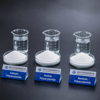 Floculant Polymère Polyacrylamide Professionnel pour l'Exportation, Agent Auxiliaire Chimique pour le Traitement de l'Eau, Haute Pureté, CAS 9003-05-8