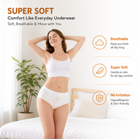 Elintree OEM Fabricant de culottes menstruelles pour femmes adultes, vente en gros de sous-vêtements menstruels jetables pour étiquette privée personnalisée