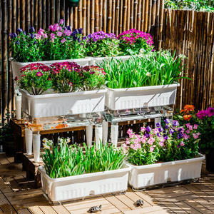 P442 Bac de culture rectangulaire amélioré pour balcon, en plastique épaissi et durable, auto-arrosant, spécialisé pour la culture de légumes - Product Image 2