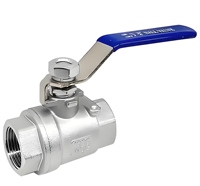 Vanne à opercule en laiton DN25 SS304 PN16 à filetage femelle, commande manuelle à vis, OEM pour conduites d'eau et de drainage