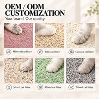 Litière pour chat MIYA en cassave naturelle, sans poussière, à agglomération rapide, haute absorption, jetable aux toilettes, écologique, vente en gros, directement de l'usine