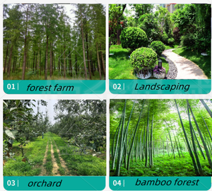 Hot New phát hành 40hp gỗ chipper Shredder thủy lực cho ăn gỗ di động chi nhánh spliter tự Powered <span class=keywords><strong>log</strong></span> spliter rừng máy - Product Image 2