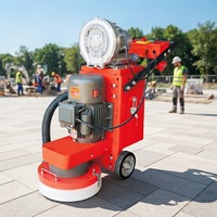 Machine de ponçage électrique haute performance pour sols en époxy, avec moteur et disques diamantés pour le dégrossissage des sols en ciment et la préparation de bases époxy