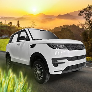 Sản xuất tại Trung Quốc Điện Buggy với Lithium chì axit pin giá rẻ để bán - Product Image 4