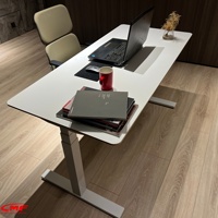 Table élévatrice ergonomique à double moteur, surface en contreplaqué de bouleau, montage facile, disponible en différentes tailles et hauteurs, structure métallique durable