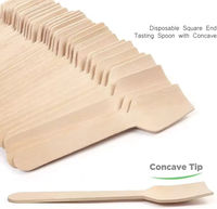 Pelle en bois jetable écologique pour crème glacée aux fruits et gâteau couteau épaissi pour pique-nique de voyage Dessert de petite capacité manger