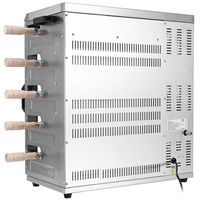Machine à griller au gaz pour poulet WeWork Chicken, barbecue brésilien, kebab, rôtisserie, pour la maison, le restaurant, la cuisine