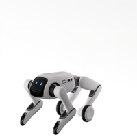 Robot humanoïde transformable pour l'éducation, le divertissement, le compagnonnage et la photographie mobile T1
