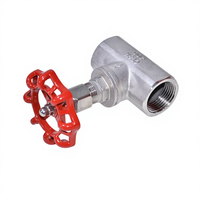 Válvula de Aguja Manual de Acero Inoxidable 304 al por Mayor, DN15 a DN50, para Control de Flujo Fino, ODM OEM Personalizada, 1 Año de Garantía