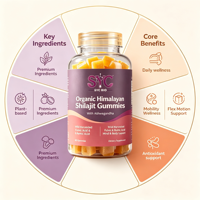 Gummies de Shilajit de l'Himalaya Sauvage SYC BIO, 60 unités, à base de plantes, riches en acides fulviques et humiques, sans gluten, complément alimentaire quotidien