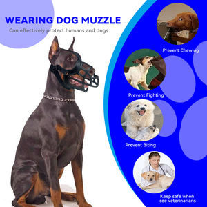 씹고 짖는 긴 주둥이 개 공장 OEM ODM 로고 사용자 정의 개 총구 - Product Image 4