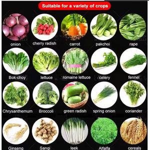 Semi-automatic Gasoline Engine Self-propelled Multi <b>Row</b> Vegetable Planter Seeder <b>Machine</b> Onion Tomatoes Seeding Sowing <b>Machine</b> - Product Image 4