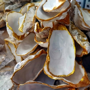 Coquilles d'huîtres naturelles à bord doré de qualité export |   Coquilles à bords dorés nettoyées et polies pour l'approvisionnement professionnel B2B - Product Image 3