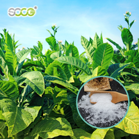 Agent de rétention d'eau élevé pour la capacité d'absorption d'eau du sol Gel sap pour la plantation agricole