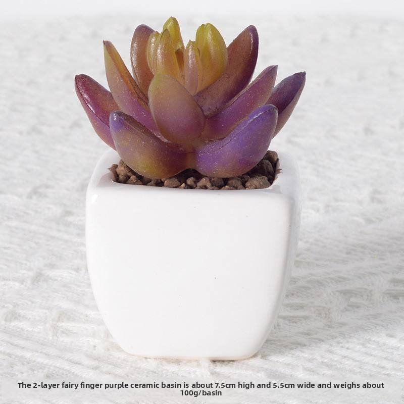 อ่างเซรามิกสีม่วงนิ้วอมตะ2ชั้น3