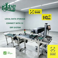 Machine de marquage laser anti-contrefaçon pour la date de production, un code par article, pour l'emballage de snacks et les usines d'emballage souple de snacks