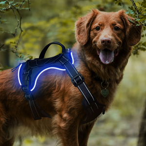 2025 Novo Design USB Recarregável Pet Vest Iluminar Piscando Arnês Luminous Night Safety Dog Led Light Harness - Product Image 1