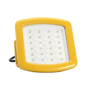 Explosieveilig Licht Led Schijnwerper Zout Water Lamp Veet Tankstation Luifel 200W Led Garage Zonne-Schijnwerpers Atex Armatuur