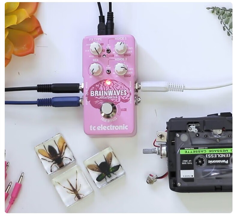 tc electronic BRAINWAVES ピッチシフター TC Electronic | Product | BRAINWAVES PITCH SHIFTER