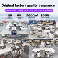 Detector de Metales Industrial de Alta Precisión y Detectores de Metales con Certificación ROHS, Hecho de Acero Plástico para Aplicaciones Alimentarias