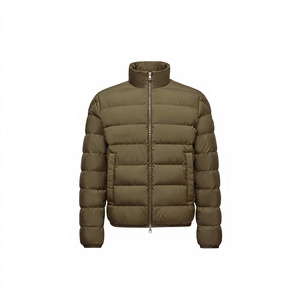 Blouson d'hiver personnalisé en duvet de canard épais pour homme, coupe ample, col montant, fermeture éclair, coupe-vent, vêtement d'hiver décontracté - Product Image 1
