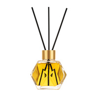Diffuseurs à roseaux d'aromathérapie écologiques en verre 50ml 100ml 200ml avec emballage personnalisé faible MOQ pour les marques de parfums