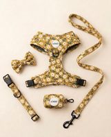 Ensemble de harnais pour chien anti-traction personnalisé, collier rembourré doux, laisse et harnais de qualité supérieure pour chien, distributeur de sacs à déjections canines, accessoires pour animaux de compagnie