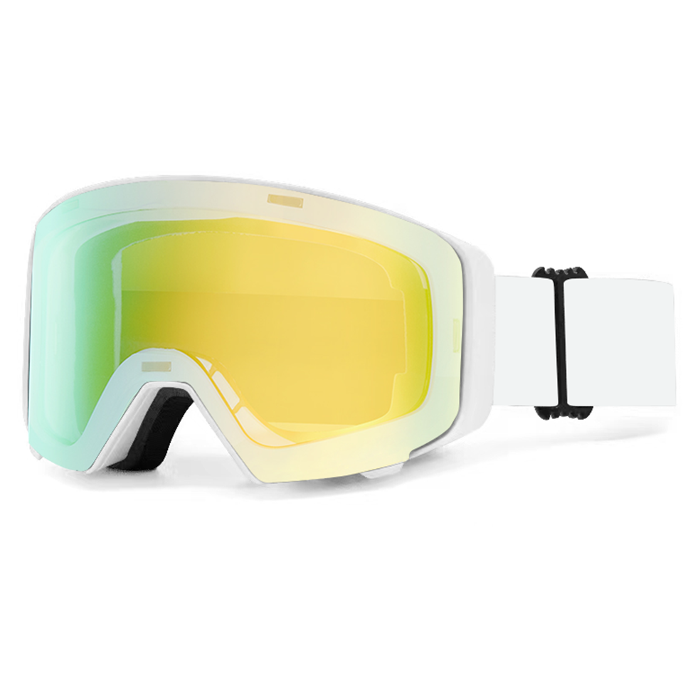 SK100-C09
