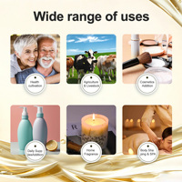 Huile de moutarde naturelle extraite par CO2 supercritique, huile essentielle de moutarde pure pour cosmétiques, SPA, massage, bougies, matière première OEM ODM
