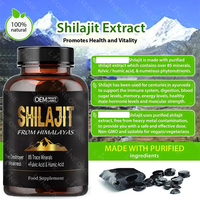 Comprimé de Shilajit Himalayen Riche en Acide Humique et 85 Minéraux pour Renforcer la Force Masculine - Capsule de Shilajit
