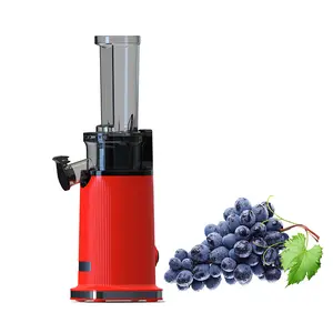 SJ-014 100% Produk Tahan Lama Jus Murni 200W Mesin Juicer Pemeras Dingin Nanas