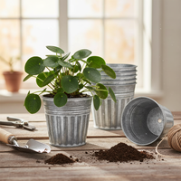 Pots de plantes rustiques en métal galvanisé avec trou de drainage, style vintage, seau en étain, pot de fleurs pour décoration intérieure, style ferme