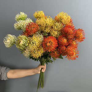 Fleur artificielle Pin Cushion d'Afrique du Sud pour aménagement paysager, plante décorative de jardin, décoration intérieure, fleurs en plastique, herbe synthétique - Product Image 1