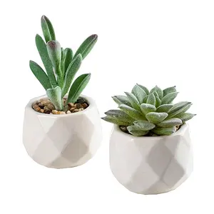 Plantas suculentas artificiales en maceta, Cactus Artificial decorativo, Aloe con macetas grises, macetas