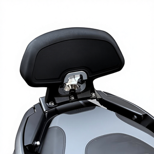 Respaldo Trasero para Pasajero TORST para C400GT y <span class=keywords><strong>C400X</strong></span>, Reposabrazos Lumbar de Aluminio y Poliuretano, Accesorio Cómodo para Motocicleta - Product Image 4