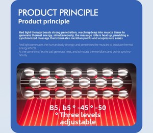 Masseur dorsal rotatif à 360° en acier inoxydable Degren, avec chauffage infrarouge et physiothérapie |   Rouleau sphérique interne, 365 jours après-vente - Product Image 6