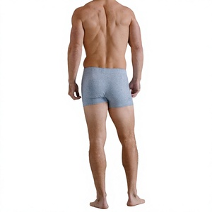OEM <b>Custom</b> Logo Heat-Transfer Printed Seamless Fusing Men's Adult Antibacterial Breathable Cotton Spandex Knit <b>Boxer</b> Briefs - Product Image 2