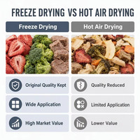 Machine de lyophilisation de qualité alimentaire entièrement automatique certifiée CE pour fruits, viandes, soupes et plats préparés