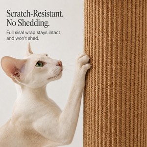 Tiragraffi per Gatti con Base Rotonda in Legno, Giocattolo Interattivo a Forma di Pesce Integrato, Design Verticale Salvaspazio in Stile Nordico Minimalista - Product Image 3