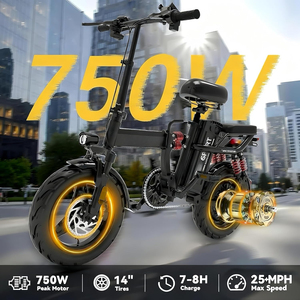 Bicicletta Elettrica Pieghevole per Adulti, Motore da 750W, Velocità Massima 40 km/h, Batteria Rimovibile 48V 20Ah, Autonomia 55-88 km, E-bike Leggera e Portatile da 14'' - Product Image 2