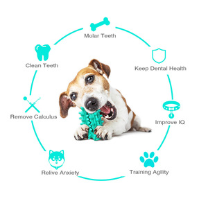 Teal Spiky Chewing <b>Toy</b> for Dogs Teeth Cleaning <b>Interactive</b> Pet <b>Toy</b> Plastic Design - Product Image 6