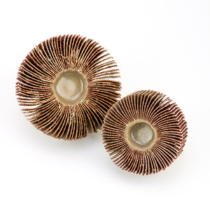 Papier abrasif à lamelles avec impeller à tige en acier inoxydable et poignée cylindrique, type roue, pour le meulage et le polissage - Product Image 2